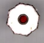 Kodokan judo organisatie in Japan schroef speld ( BLAD1_160), Verzamelen, Speldjes, Pins en Buttons, Verzenden, Nieuw, Dier of Natuur