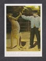 Amsterdam Artis Dierentuin Kangoeroe Dierenverzorger., Verzamelen, Ophalen of Verzenden, 1980 tot heden, Ongelopen, Noord-Holland