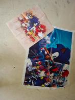 Sonic the hedgehog, Ophalen of Verzenden, Nieuw