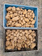 Biologische Frieslanders  uit de klei, Ophalen