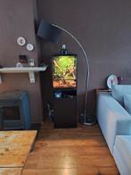 Terrarium 45x45x60, Dieren en Toebehoren, Reptielen en Amfibieën | Toebehoren, Ophalen, Zo goed als nieuw, Terrarium of Paludarium