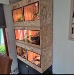 Osb3 terrarium RepHouSZ. Ook maatwerk, Ophalen of Verzenden, Nieuw, Terrarium of Paludarium