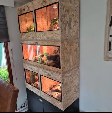 Osb3 terrarium RepHouSZ. Ook maatwerk  beschikbaar voor biedingen