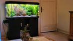 Aquarium te koop met onderkast en toebehoren zoals Eheimpomp, Dieren en Toebehoren, Vissen | Aquaria en Toebehoren, Ophalen, Gebruikt