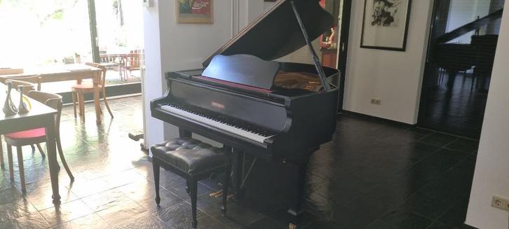 Vleugel, Muziek en Instrumenten, Piano's, Gebruikt, Vleugel, Zwart, Hoogglans, Ophalen