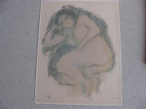 Piet Cottaar, kleurenlitho. 63/69.  De afmeting :66 x 51 cm., Antiek en Kunst, Kunst | Litho's en Zeefdrukken, Ophalen