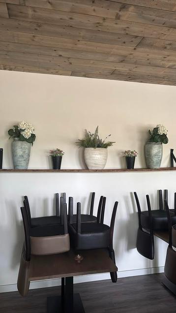 Decoratieve vazen beschikbaar voor biedingen