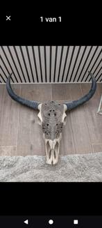 Skull, Huis en Inrichting, Ophalen, Zo goed als nieuw