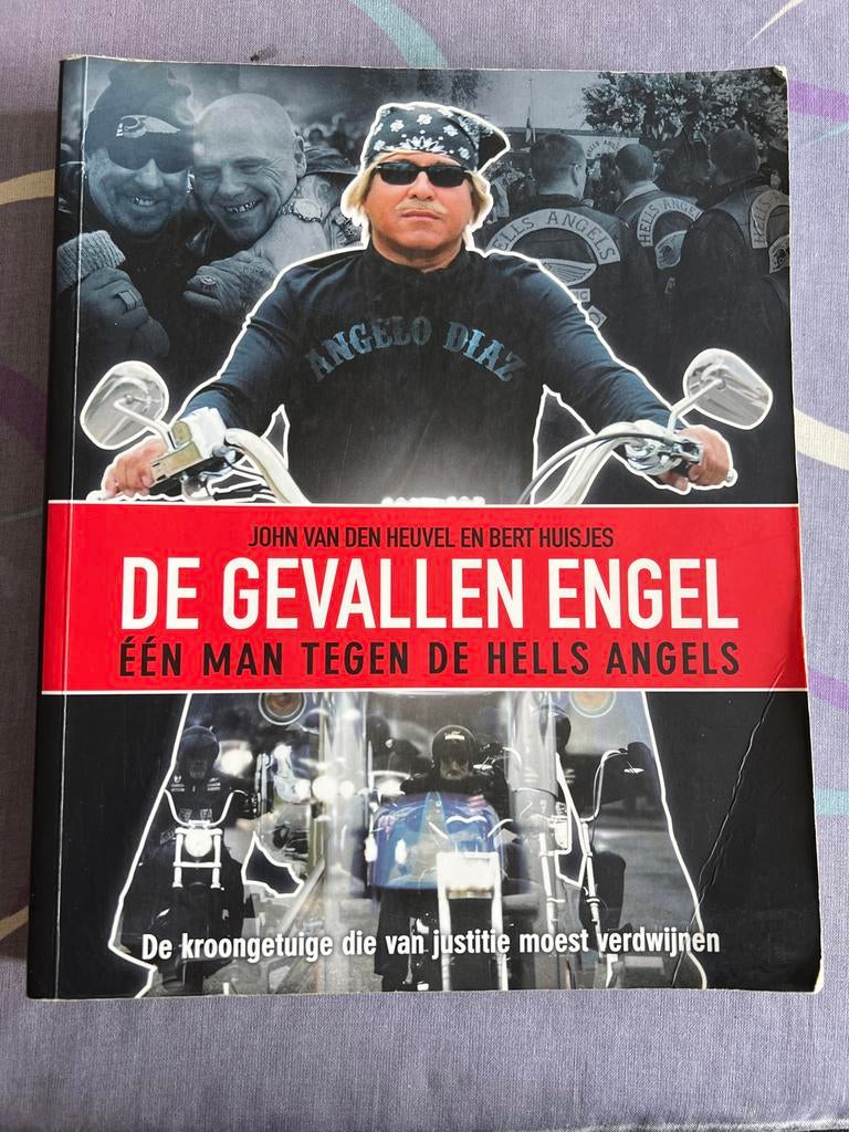 De gevallen engel - John van den Heuvel, Ophalen, Gelezen, Politiek
