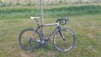 Carbon racefiets Sensa Lombardia, Overige merken, Gebruikt, Carbon, Ophalen of Verzenden