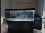 Aquarium 450, Dieren en Toebehoren, Ophalen, Leeg aquarium