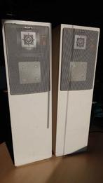 Sony APM F50 AV Luidsprekers - Zeldzaam!, Ophalen, Gebruikt, 60 tot 120 watt, Sony