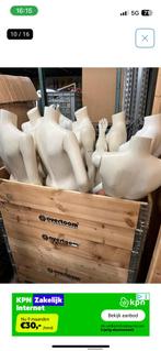 Etalage poppen, Ophalen of Verzenden