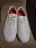 Nieuwe Shoes for Crews Horeca Schoenen - Maat 39, Wit, Nieuw, Ophalen of Verzenden, Werkschoenen