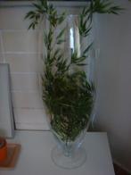 Grote vaas, Ophalen, Overige kleuren, 50 tot 75 cm, Nieuw