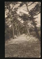 Bergen (NH) - Sparrenlaan [KRST009-1342, Verzenden, Voor 1920, Gelopen, Noord-Holland