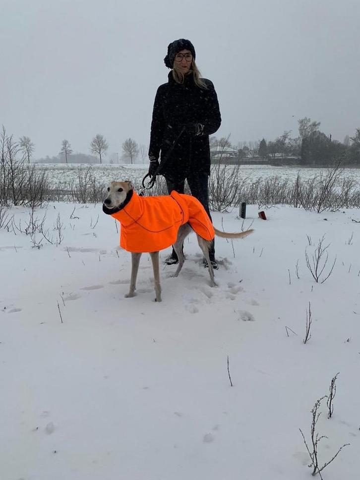 windhonden winter jas, Dieren en Toebehoren, Honden-accessoires, Nieuw, Ophalen of Verzenden