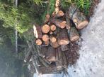 Gratis conifeer & wilgen hout, Minder dan 3 m³, Ophalen of Verzenden