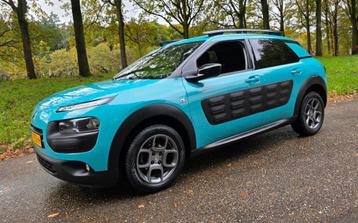 Citroen C4 Cactus 1.2 PureTech Business Plus 2e Eigenaar beschikbaar voor biedingen