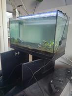 Aquarium 80 x 35 x 45 met voedingsbodem, Ophalen, Gebruikt, Gevuld zoetwateraquarium