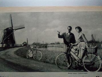 Batavus reclame beschikbaar voor biedingen