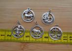 zilveren sterrenbeeld hanger [025], Sieraden, Tassen en Uiterlijk, Kettinghangers, Overige materialen, Verzenden, Zo goed als nieuw