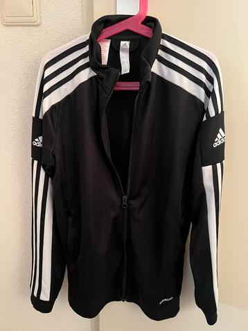 Adidas Trainingsjack Maat M - Nieuwstaat! beschikbaar voor biedingen