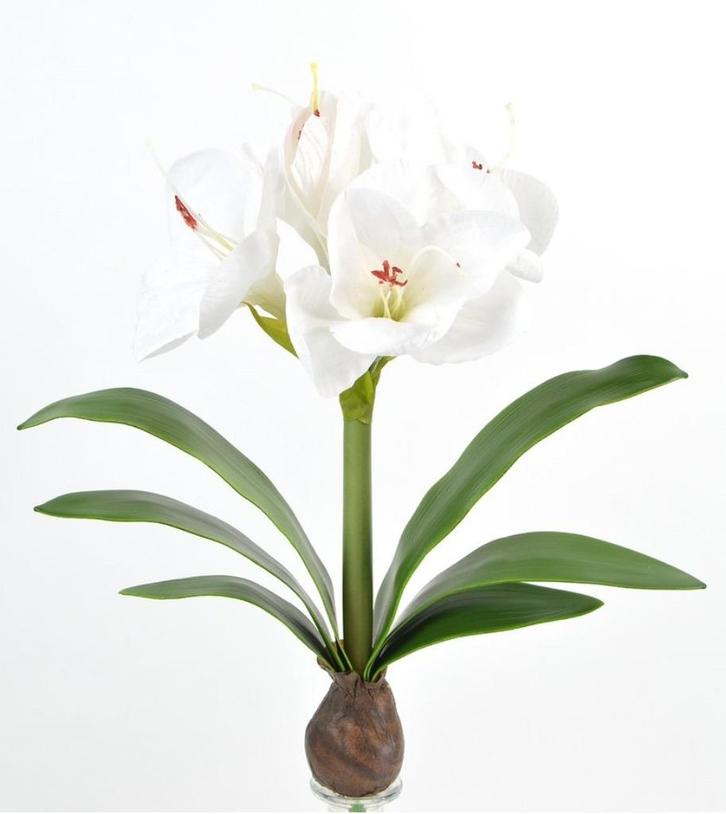 AMARYLLIS - KUNST - WIT, Huis en Inrichting, Woonaccessoires | Kunstplanten en Kunstbloemen, Nieuw, Ophalen of Verzenden