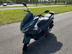 Honda pcx 125 bj 2019, Motoren, Motoren | Honda, Scooter, Particulier, 125 cc, 11 kW of minder