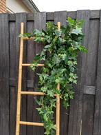 Kunst hangplant klimop 100cm - Onderhoudsvrij!, Tuin en Terras, Tuinwanddecoratie, Ophalen of Verzenden