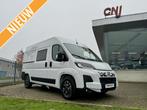 Freedo RV 541 / 599 / 636, Caravans en Kamperen, Overige merken, Buscamper of Camperbus, Fiat, Bedrijf