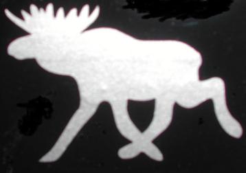 Sticker eland diverse afmetingen v. Volvo. Saab, camper e.d. beschikbaar voor biedingen