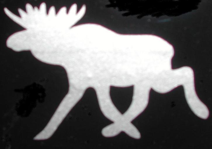 Sticker eland diverse afmetingen v. Volvo. Saab, camper e.d., Auto diversen, Auto-accessoires, Nieuw, Ophalen of Verzenden