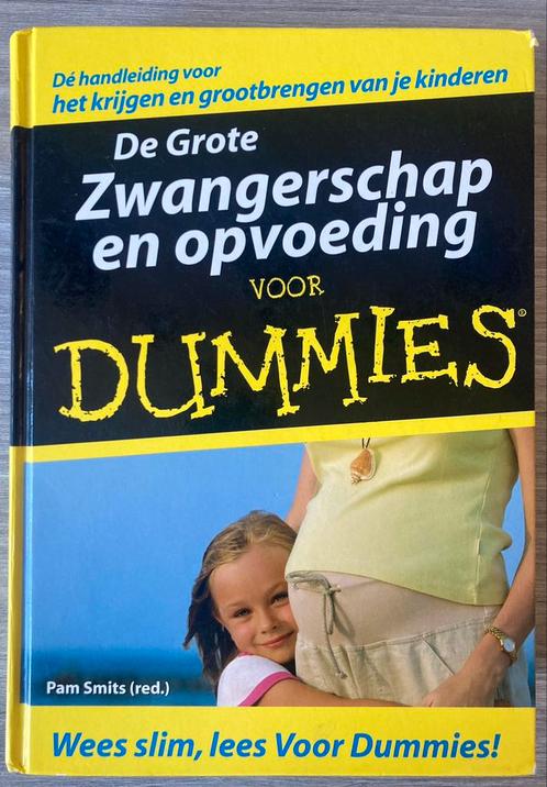 De Grote Zwangerschap en opvoeding voor Dummies - P. Smits, Boeken, Zwangerschap en Opvoeding, Gelezen, Ophalen of Verzenden