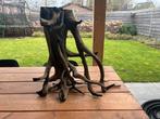 Mangrovehout / kienhout / aquariumhout, Ophalen, Gebruikt, Plant(en), Steen of Hout
