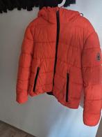 Gaastra Donsjas Dames Oranje Nieuw Maat M, Ophalen of Verzenden, Nieuw, Oranje