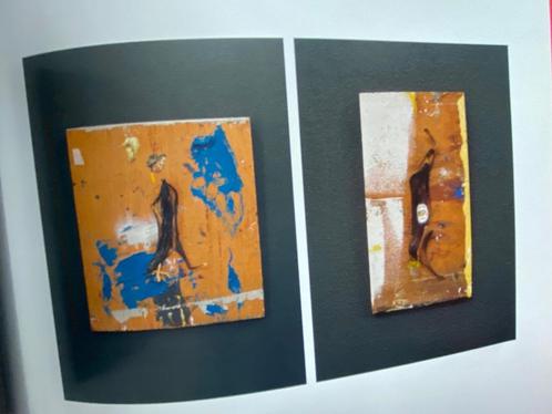 Tong II 2004 Museum De Ghulden Roos Roosendaal, Boeken, Kunst en Cultuur | Beeldend, Zo goed als nieuw, Overige onderwerpen, Ophalen of Verzenden