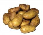 aardappelen dore frieslanders bildstar, Ophalen, Nieuw