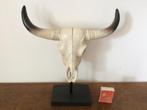 Kleine longhorn skull op standaard buffel western woestijn, Ophalen of Verzenden, Dier, Zo goed als nieuw
