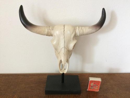 Kleine longhorn skull op standaard buffel western woestijn, Verzamelen, Beelden en Beeldjes, Zo goed als nieuw, Dier, Ophalen of Verzenden