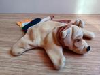 Handpop handschoenpop beleduc hond, Ophalen of Verzenden, Nieuw, Hond