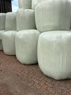 Grote ronde balen Italiaans raaigras, Zakelijke goederen, Agrarisch | Veevoer, Ophalen of Verzenden