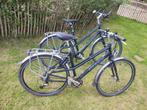 Giant Expedition damesfiets travel Shimano XT maat M, Ophalen of Verzenden, Gebruikt, Meer dan 20 versnellingen, Giant