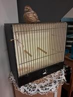 Transport kooitje, Dieren en Toebehoren, Ophalen of Verzenden, Zo goed als nieuw, Hout, Overige typen