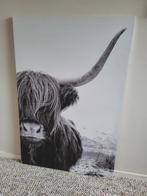 Schotse Hooglander canvas, Ophalen, Zo goed als nieuw, Foto of Poster, 75 cm of meer