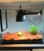 Terrarium, Ophalen, Zo goed als nieuw