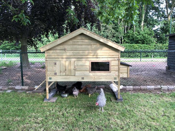 kippennachthok, Dieren en Toebehoren, Pluimvee | Toebehoren, Nieuw, Kippenhok of Kippenren, Ophalen of Verzenden