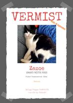 Vermist: zwart witte poes Zazoe, Dieren en Toebehoren, Vermiste en Gevonden Dieren, Kat