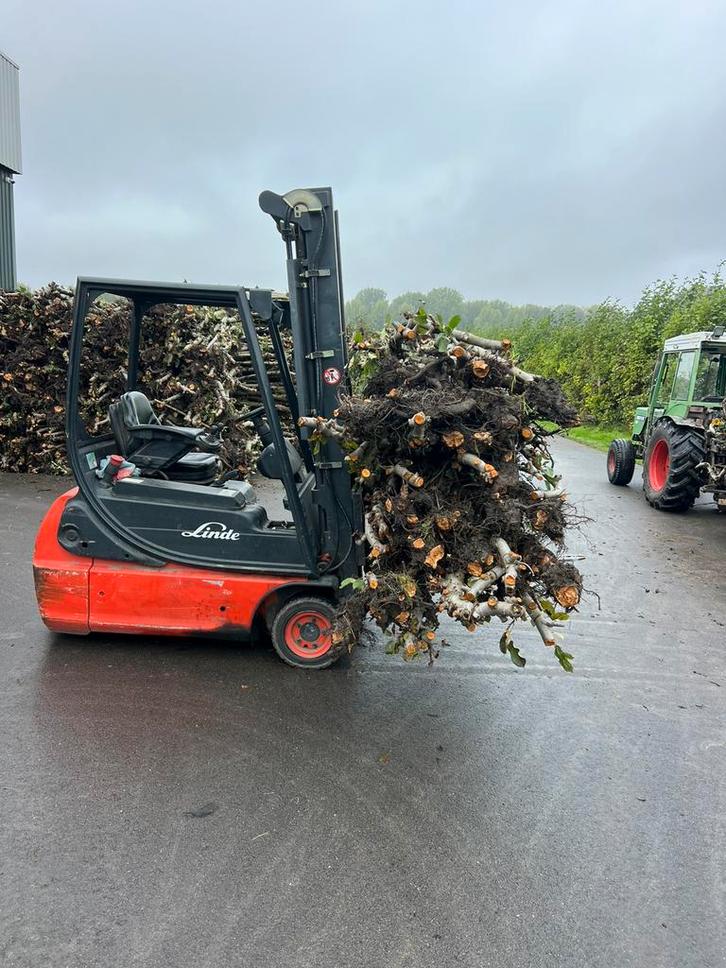 Appel hout te koop, Tuin en Terras, Haardhout, 6 m³ of meer, Ophalen
