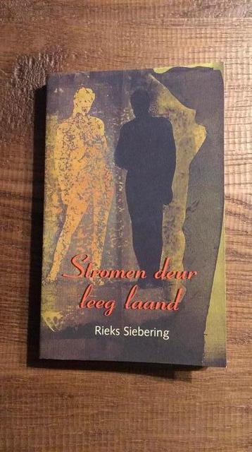 Rieks Siebering: Stromen deur leeg laand beschikbaar voor biedingen